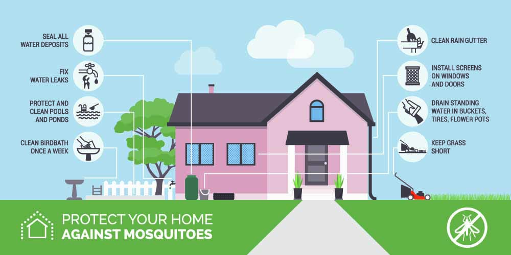 mosquito home prevention