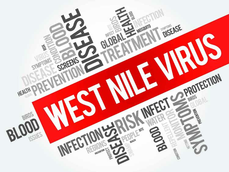 West Nile Viruas